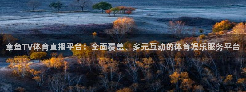 nba直播玩球：章鱼TV体育直播平台：全面覆盖、多元互动的体育娱乐服务平台