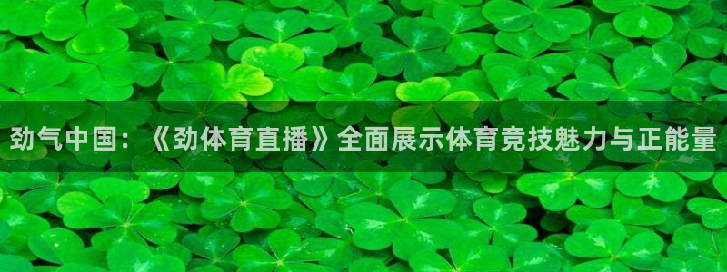 玩球吧直播：劲气中国：《劲体育直播》全面展示体育竞技魅力与正能量