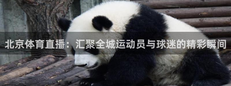 玩球直播在线观看：北京体育直播：汇聚全城运动员与球迷的精彩瞬间